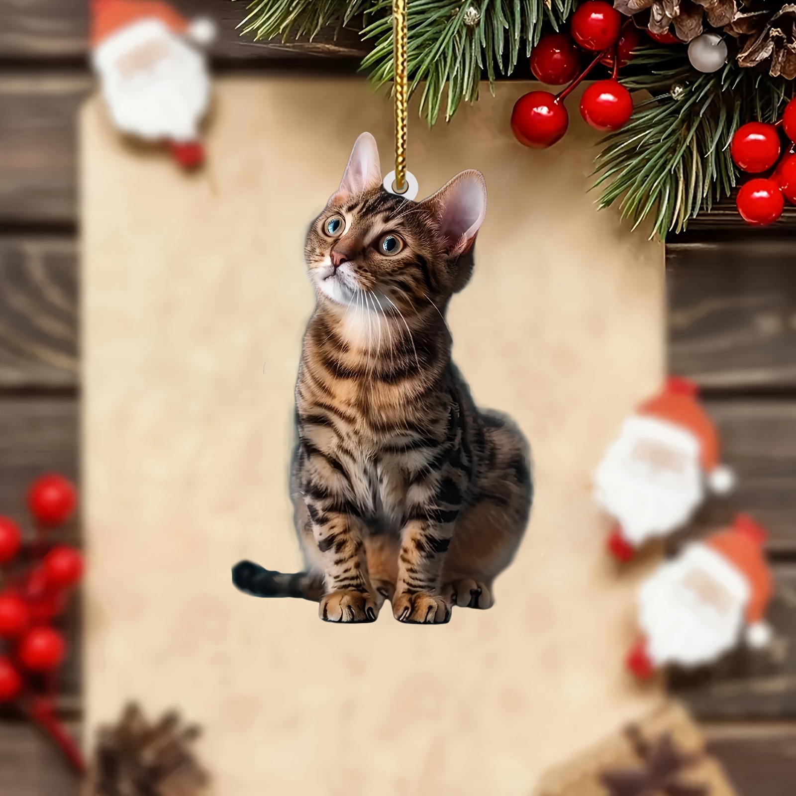 3pcs 2D Flat Cat Acrylic Penda - đánh giá và giá Car Accessories Oman